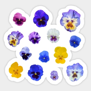 pansy pattern Sticker